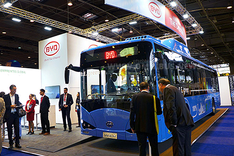 BYD Elektrobus Europa