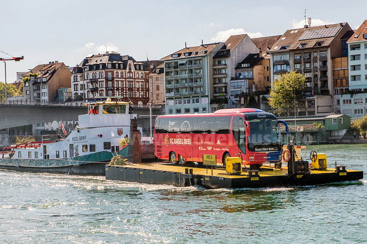 MAN kann auch auf dem Wasser bzw. Rhein Bus fahren... 