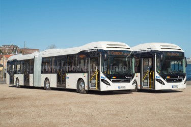 Hybrid-Gelenkbusse auf großer Fahrt