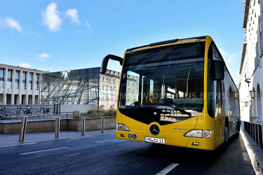 H2-Busse für BHV