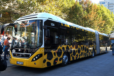 SSB-Schnellbus