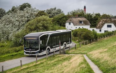 Reif für die Insel