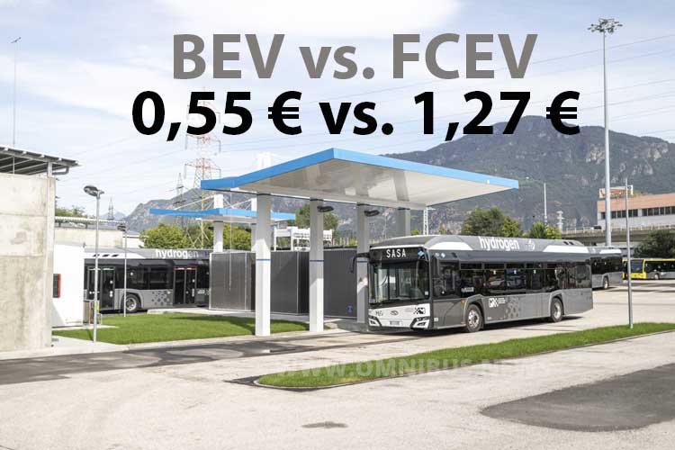 BEV- vs FCEV-Busse
