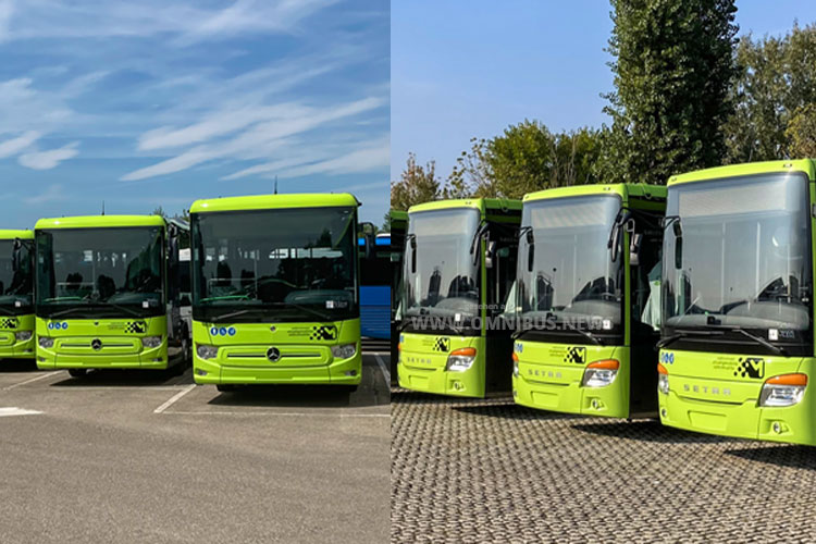 265 Busse für Südtirol