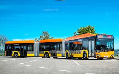 36 Urbino electric 24