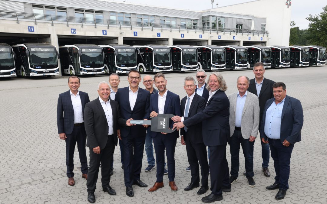 WVG: Zwölf E-Löwen