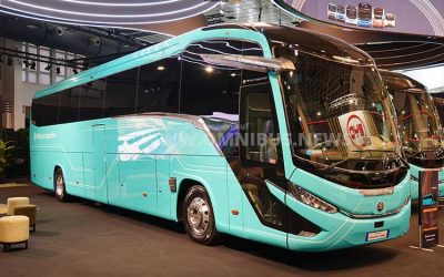 Volvo Buses & Marcopolo