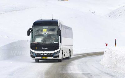 E-Löwe im Wintertest