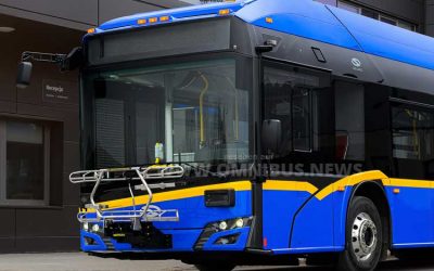 Solaris: Trollino-Debüt