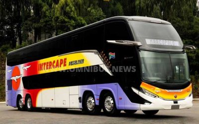 Brasilianischer Megaliner